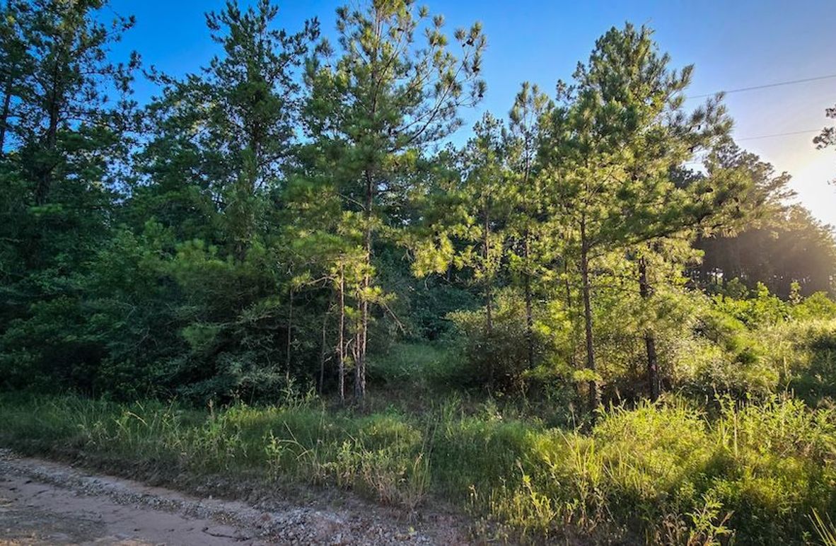 Copy of 20240704_191354