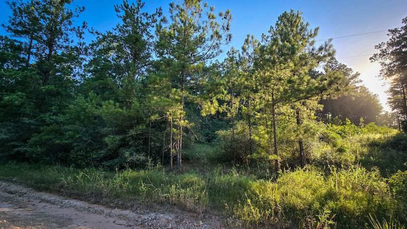 Copy of 20240704_191354