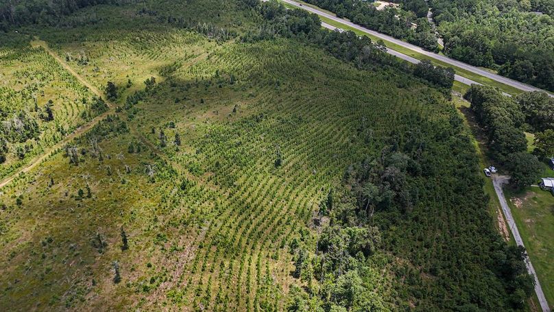 7-DJI_20240730132122_0007_D