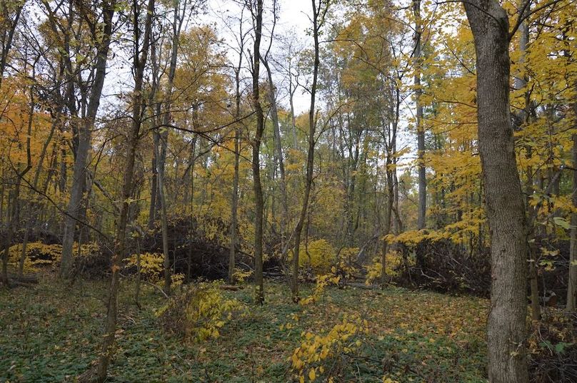 view looking east from river