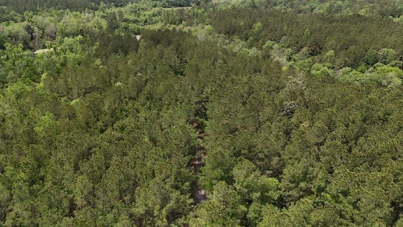 DJI_20250502120701_0004_D