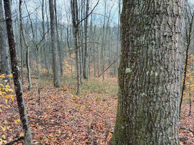 Ritchie, WV 64 AC Hall New Pics-20