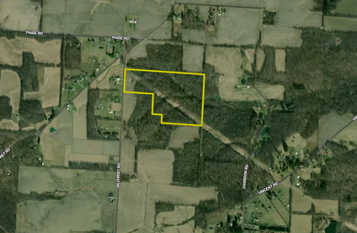 Screenshot 2024-08-22 at 3.32.12 PM