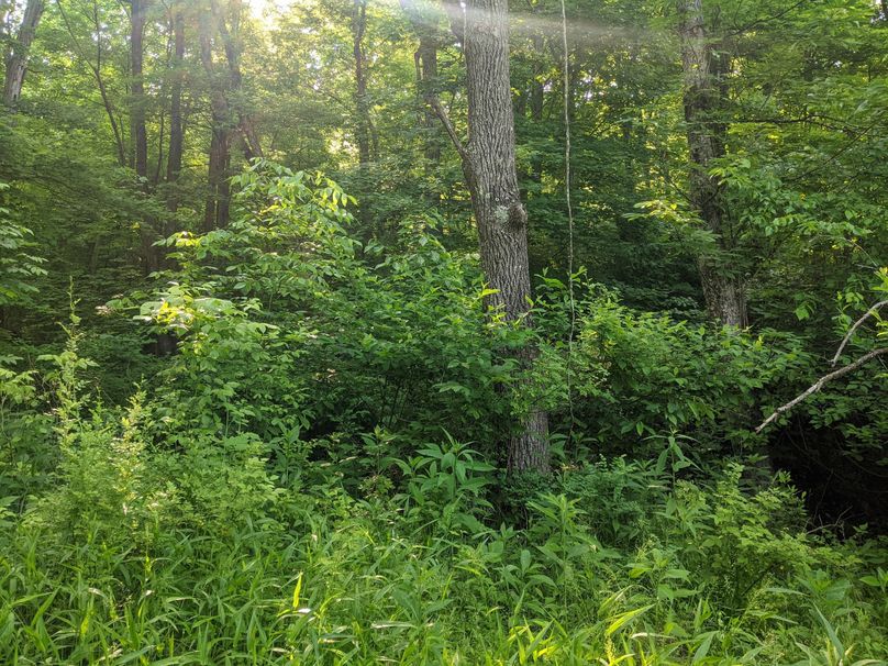 PXL_20230602_131029563