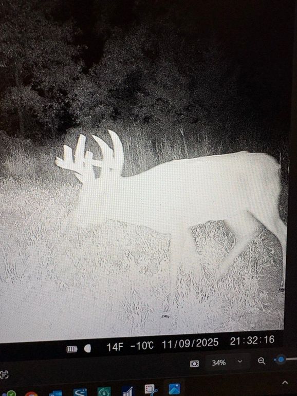 1082C56D-4B62-4125-ABE7-6F2D2F4388C9