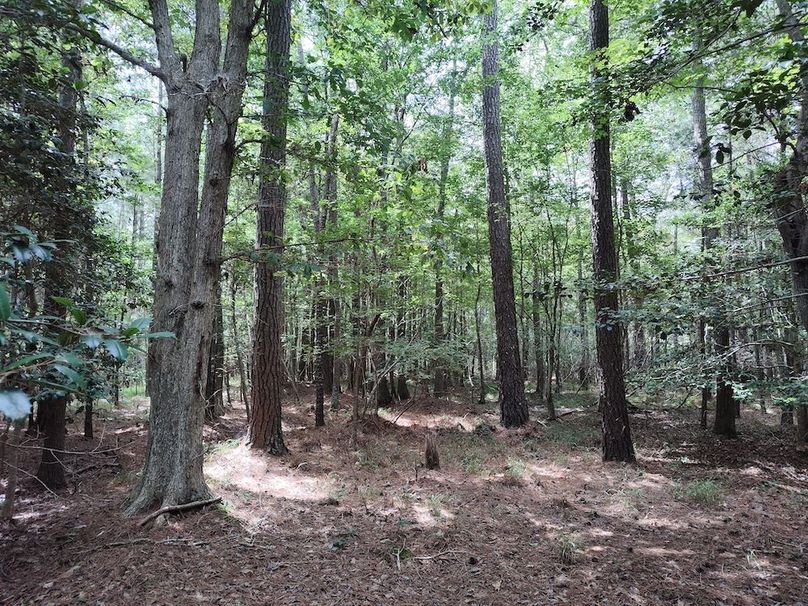 IMG_20250830_122332873