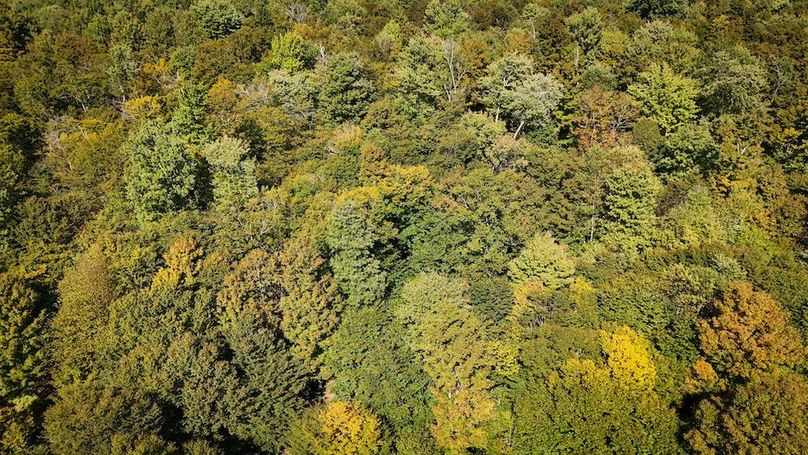 Oswego NY 18.18 Martin Photos 15