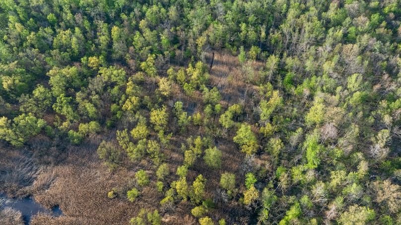 DJI_20260407175355_0018_D