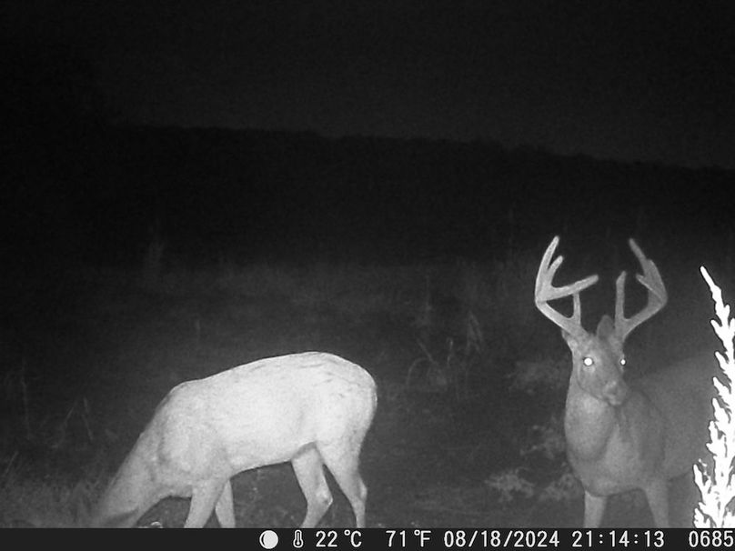 Trail Cam 7(1)