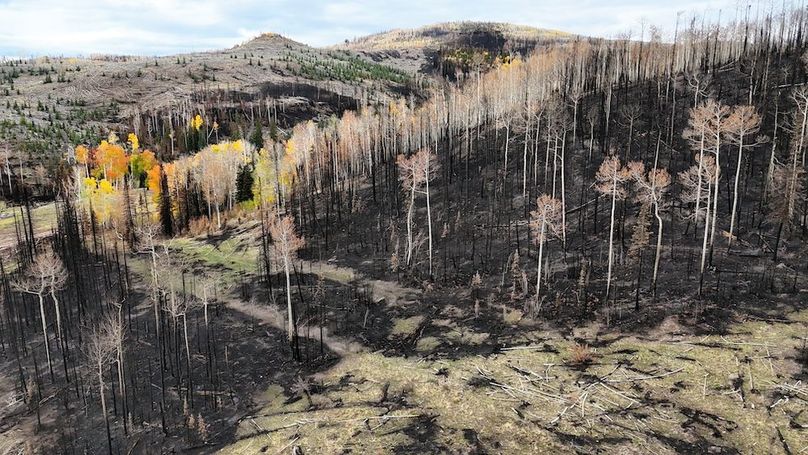 DJI_20250927085035_0102_D