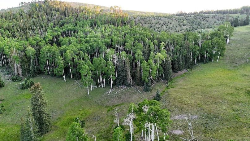 DJI_20250627202600_0105_D