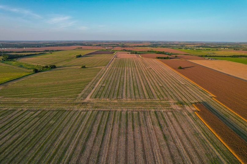 Bell 46.44 Pictures-16