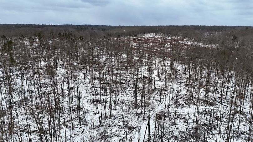 DJI_20260323113541_0305_D