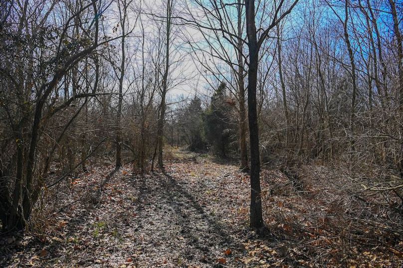 vandalia 450 (2)-1684