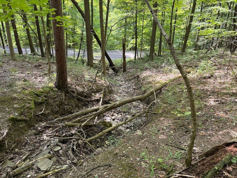 Ontario_2.7_Proseus Photo 20