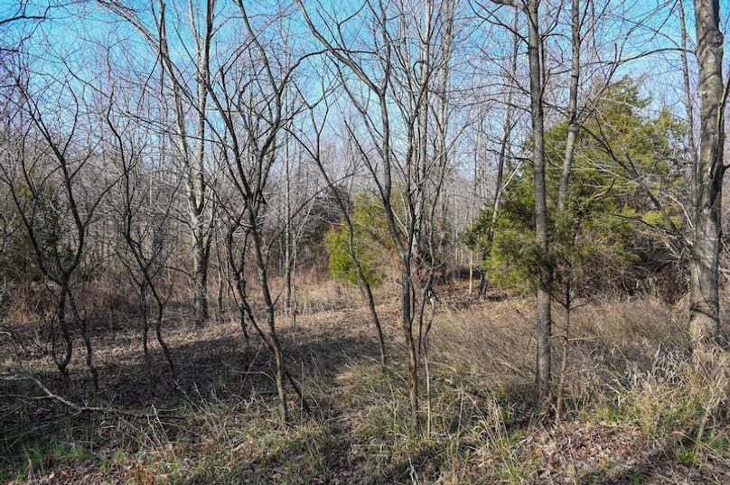 vandalia 450 (2)-1713