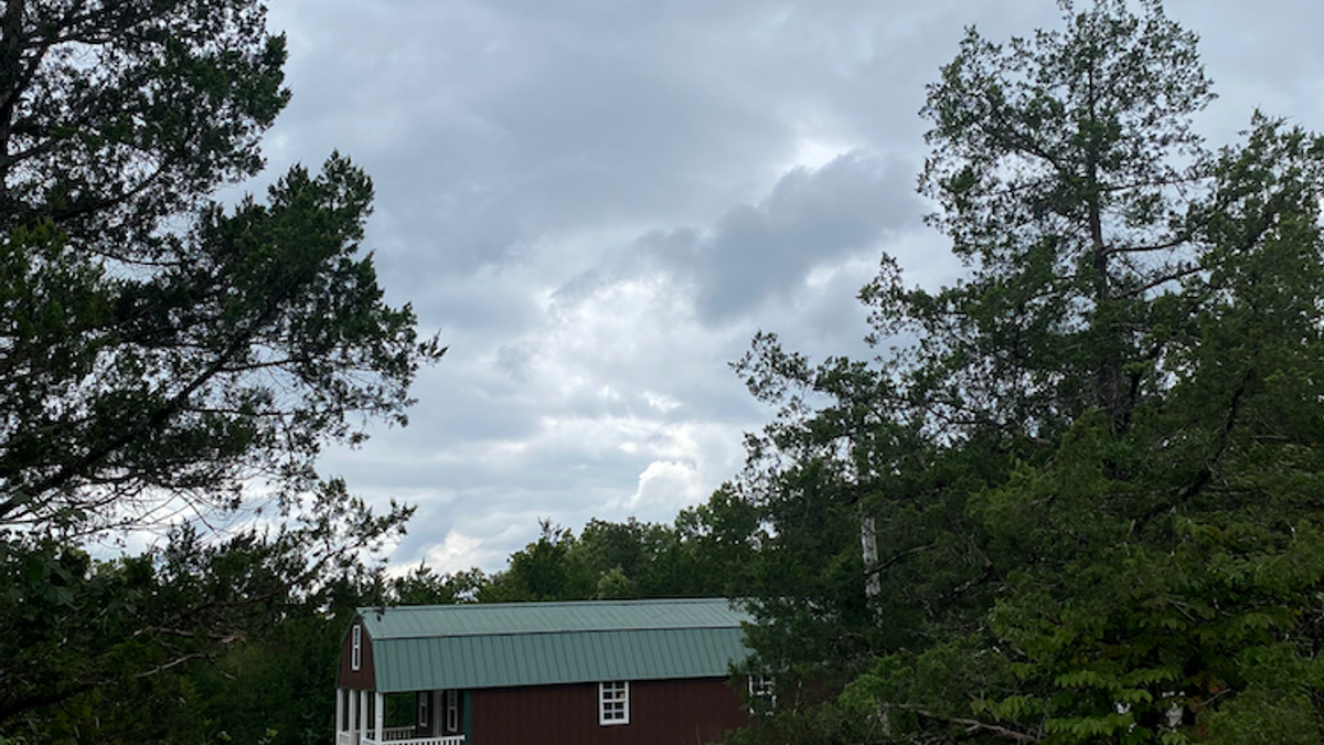 Hunting Tract In High Deer Density Area Near Truman Lake Whitetail