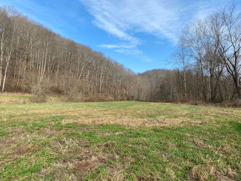 019 the field area between the river and HWY 460 along the west boundary copy