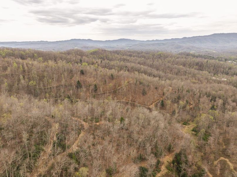 DJI_20260413153017_0039_D