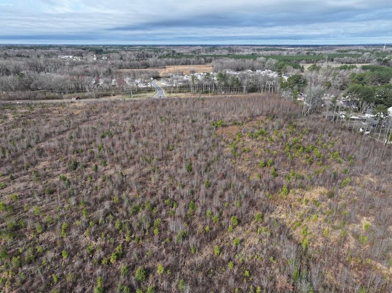 DJI_20240305095019_0017_D