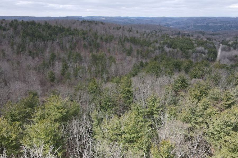 6 dji_fly_20250325_113206_954_1742916738492_photo