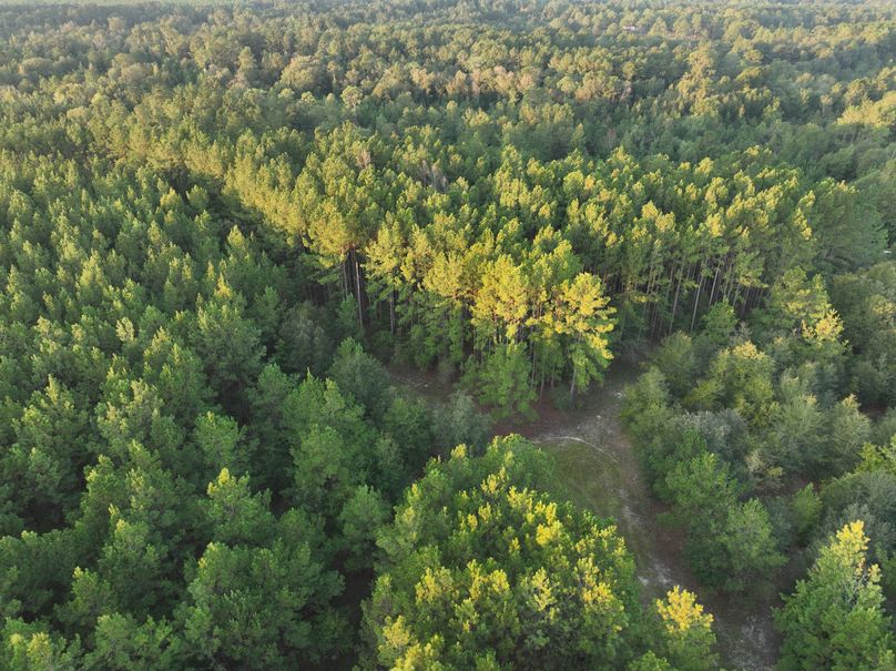 dji_fly_20230925_074610_746_1695642640859_photo