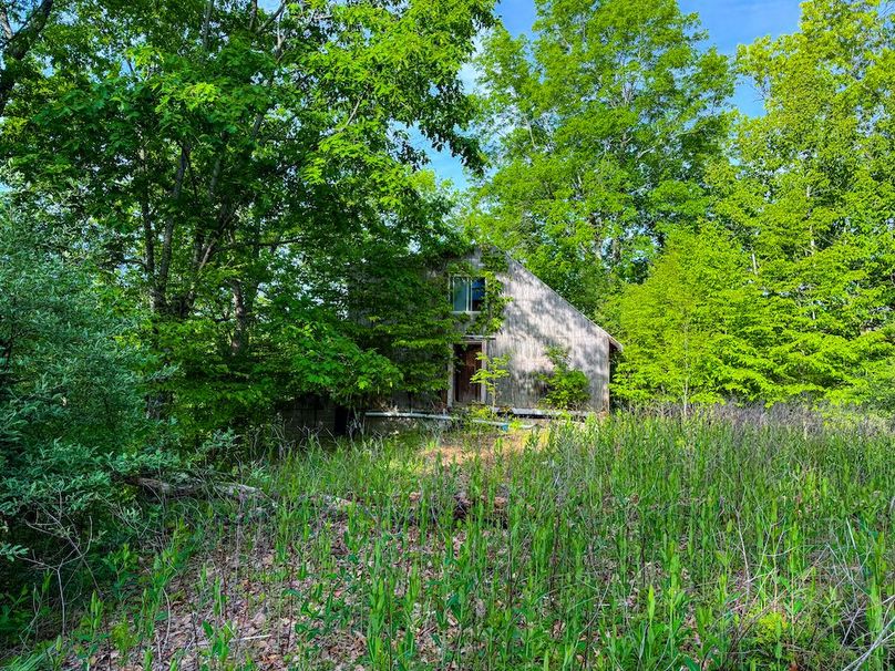 Wirt, WV 145.69 AC 273 Wildflower-32