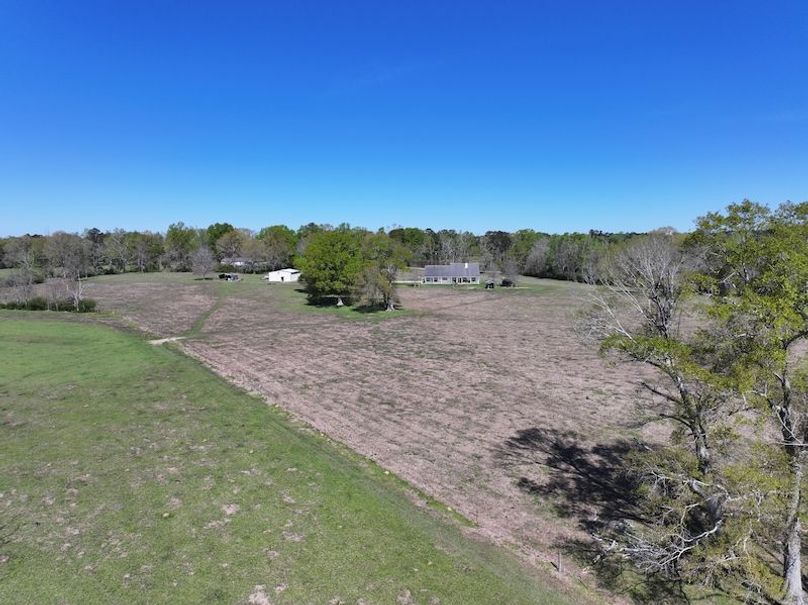 dji_fly_20260317_094548_0421_1773768869632_photo