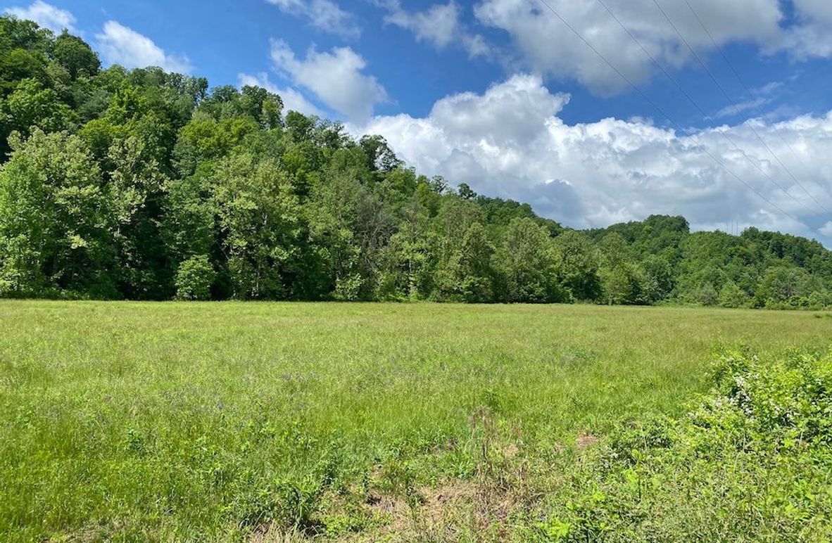 002 beautiful  view of the green field near the north boundary copy