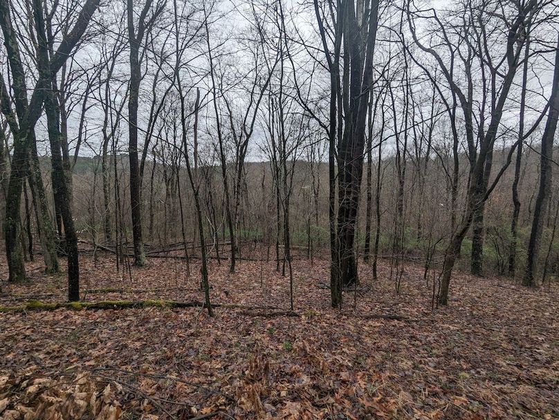 PXL_20240412_134520913