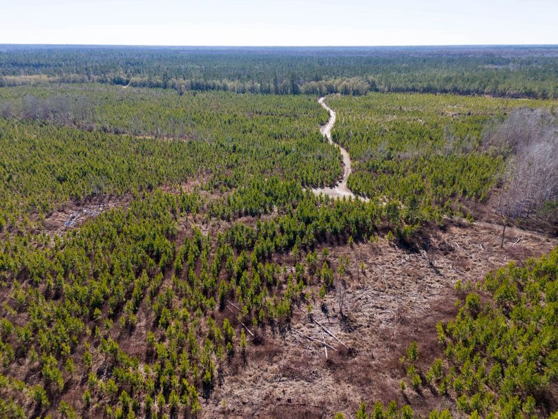 Pender NC 382 - Edits-8