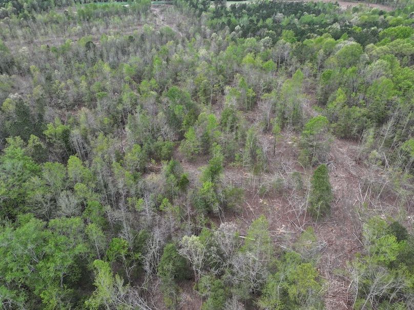 DJI_20260317095210_0588_D