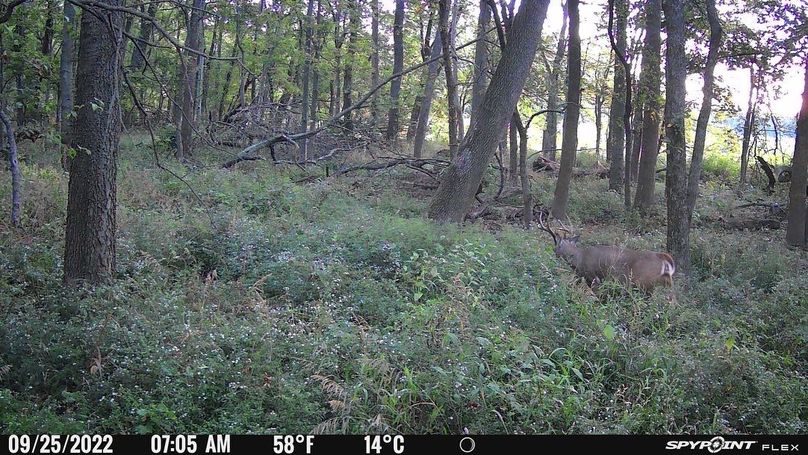 079B60D5-7360-43D4-BD4D-3D05FA531C52