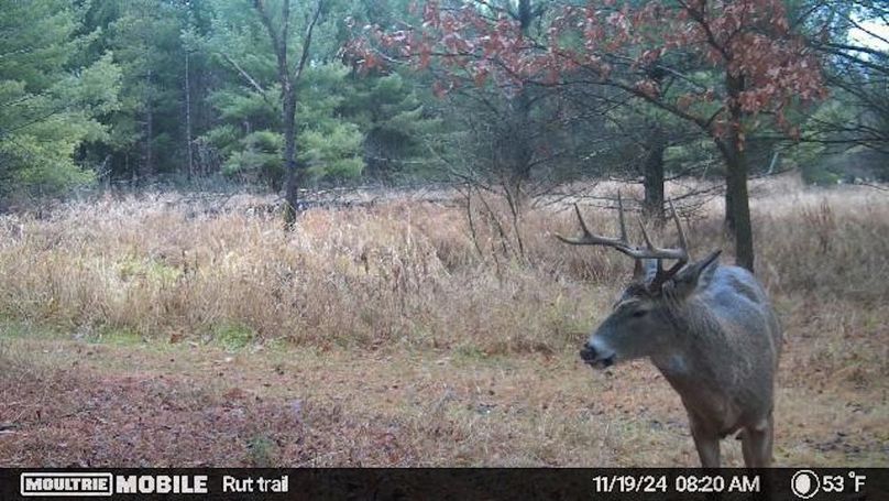 Temp_731870-20241119142513-20241119082044_005002