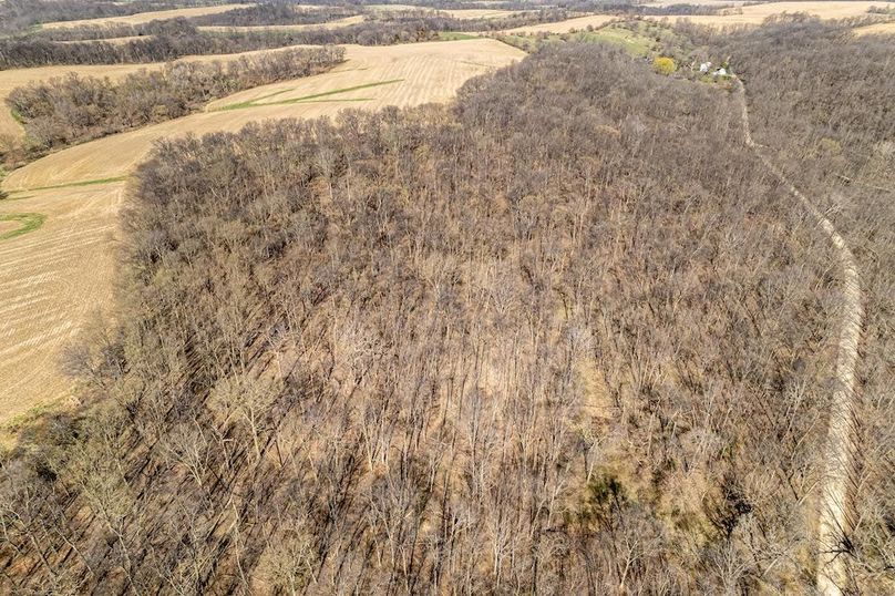 Jo Daviess IL 23.5_34