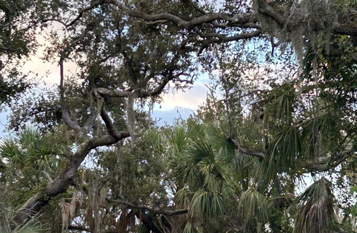 3DCB704E-E24E-46EB-98C3-03EC03B2F774_1_105_c