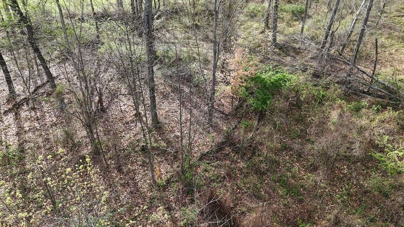 DJI_20260403174708_0236_D