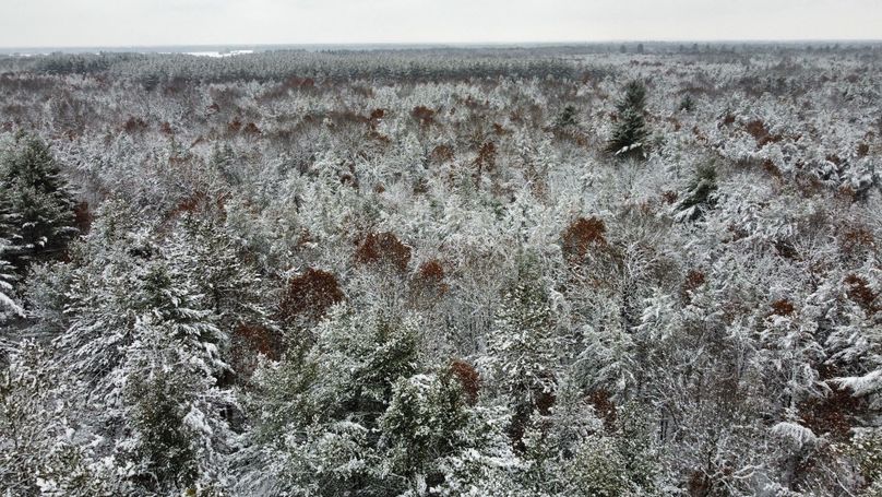 dji_fly_20240111_114810_880_1704995424624_photo_optimized 3