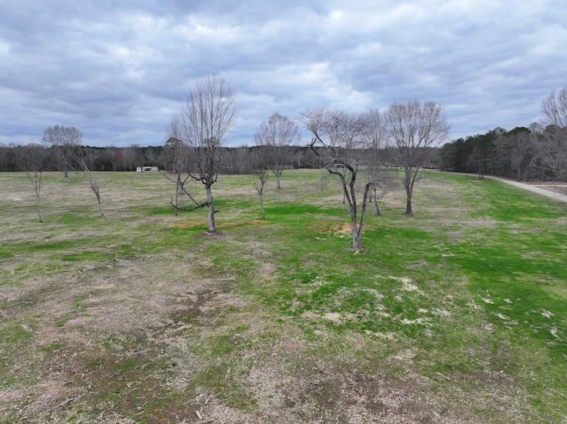 Copy of Copy of dji_fly_20260217_142838_0133_1771436910851_photo