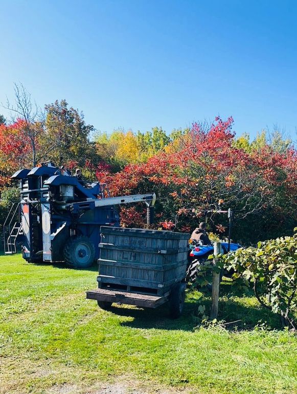 IMG_20260302_152927 (2)