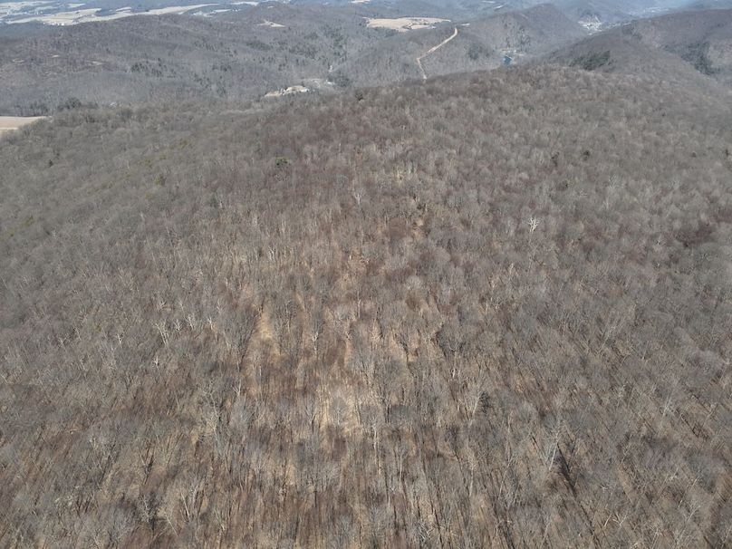 DJI_20250304114602_0008_V