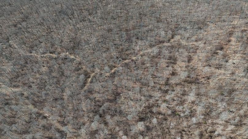 stone8020260307_0049