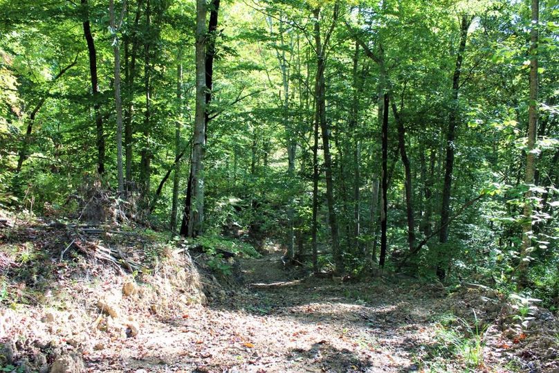 024 some of the good trails leading about the property