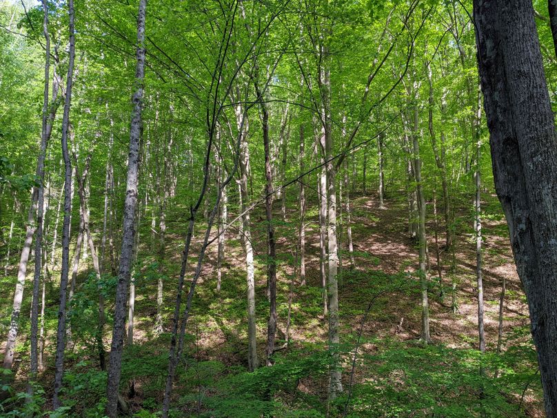 PXL_20230515_215425182