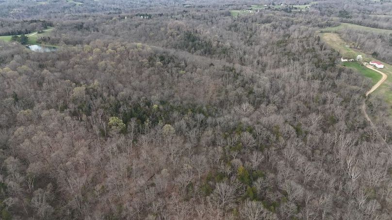 DJI_20250329093918_0270_D