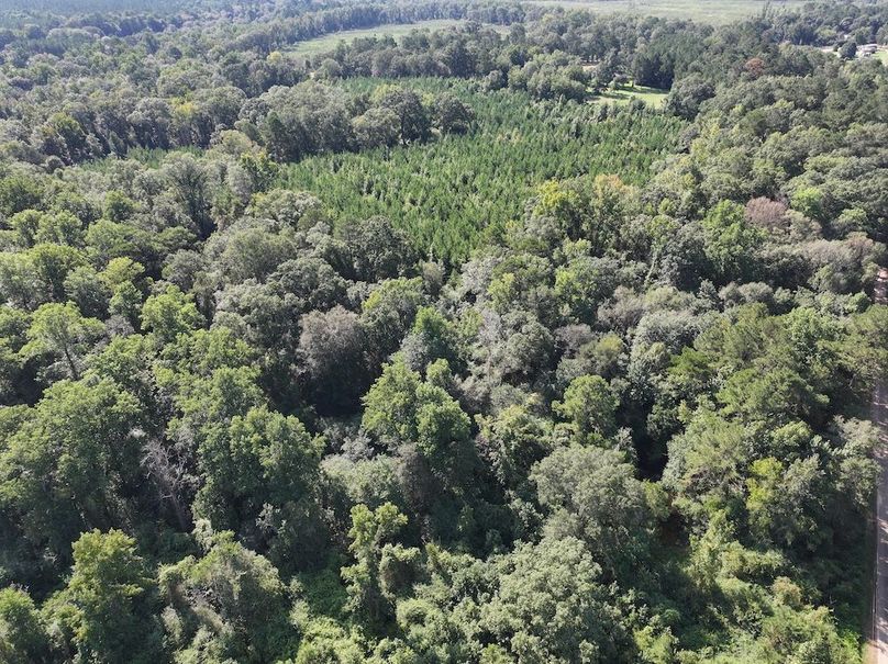 dji_fly_20250903_101848_0401_1757089041248_photo