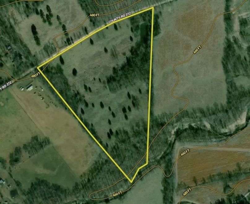 Image 4-25-24 at 4.39 PM