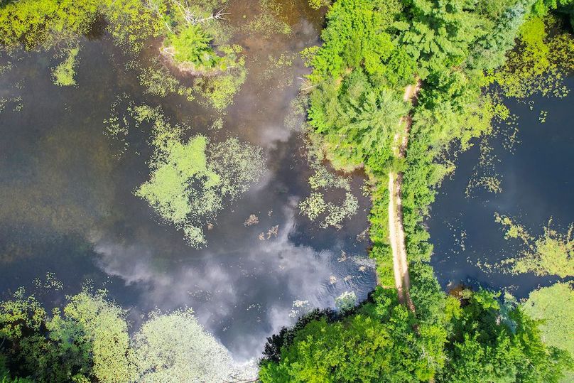 Oswego_20_Eck Photo 26