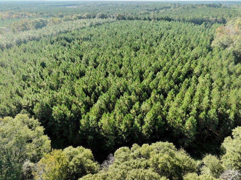 dji_fly_20251031_101004_992_1761919965372_photo