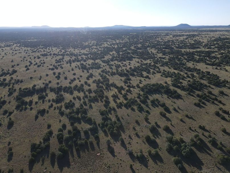 dji_fly_20240816_081140_531_1723817907747_photo